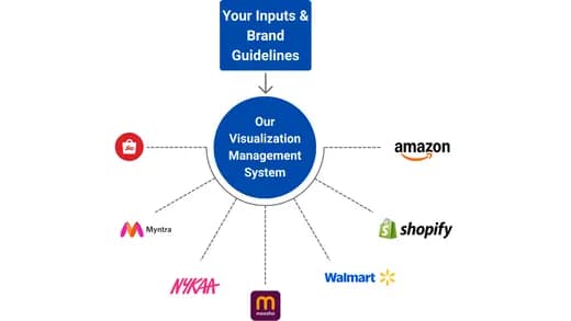 Visualization Management System