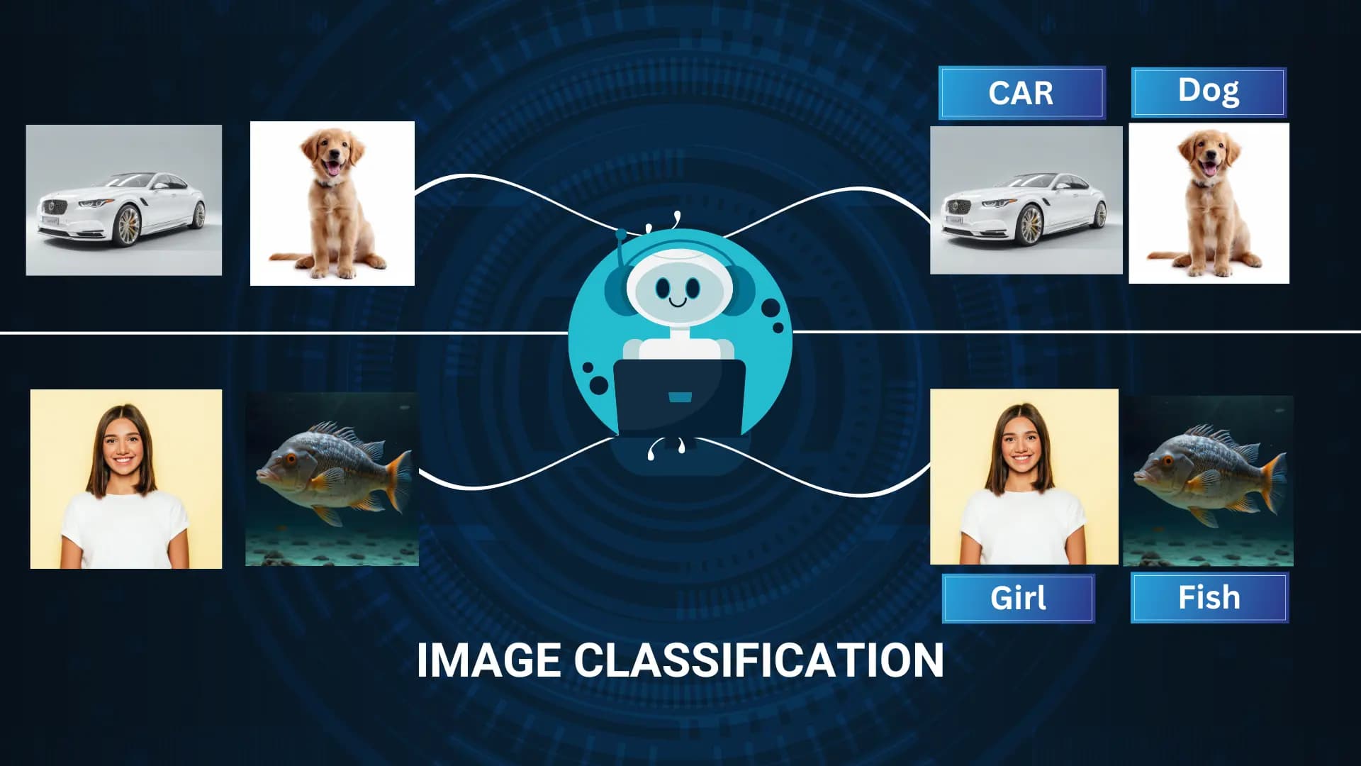 Image Classification services | Askgalore